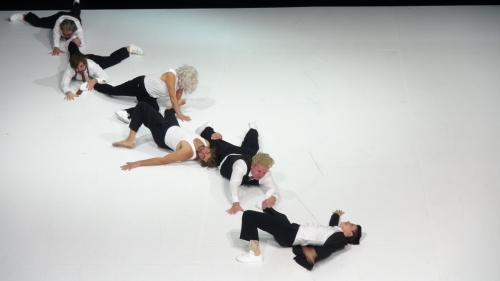 Die Hauptstadt (Menasse) 01