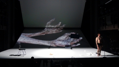 Die Hauptstadt (Menasse) 03