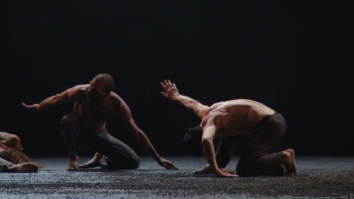 Le Sacre du Printemps 03